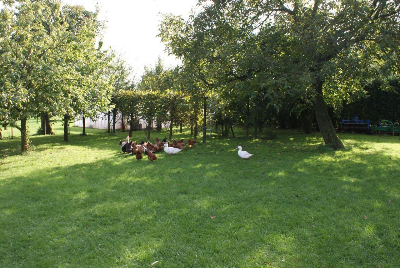 Agrogosia Hotel Czajowice Bagian luar foto