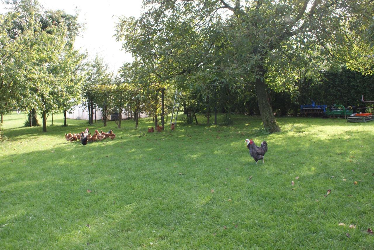 Agrogosia Hotel Czajowice Bagian luar foto