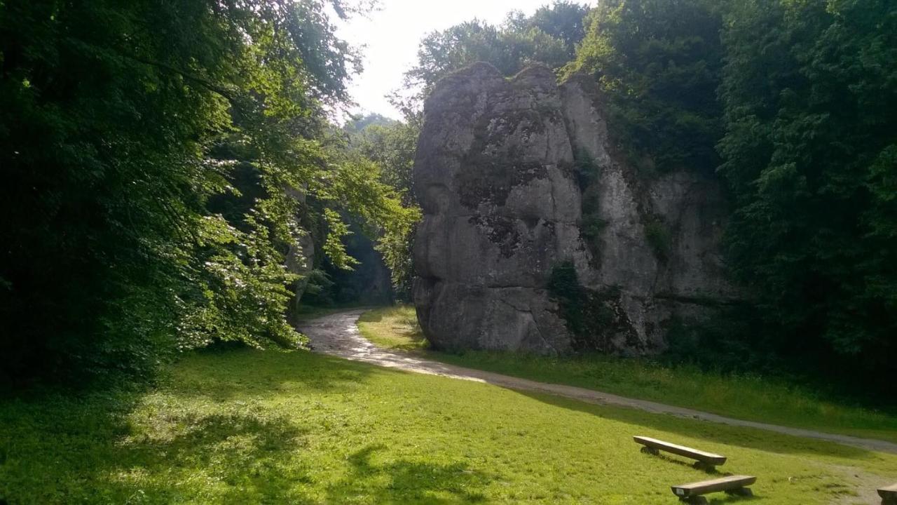 Agrogosia Hotel Czajowice Bagian luar foto