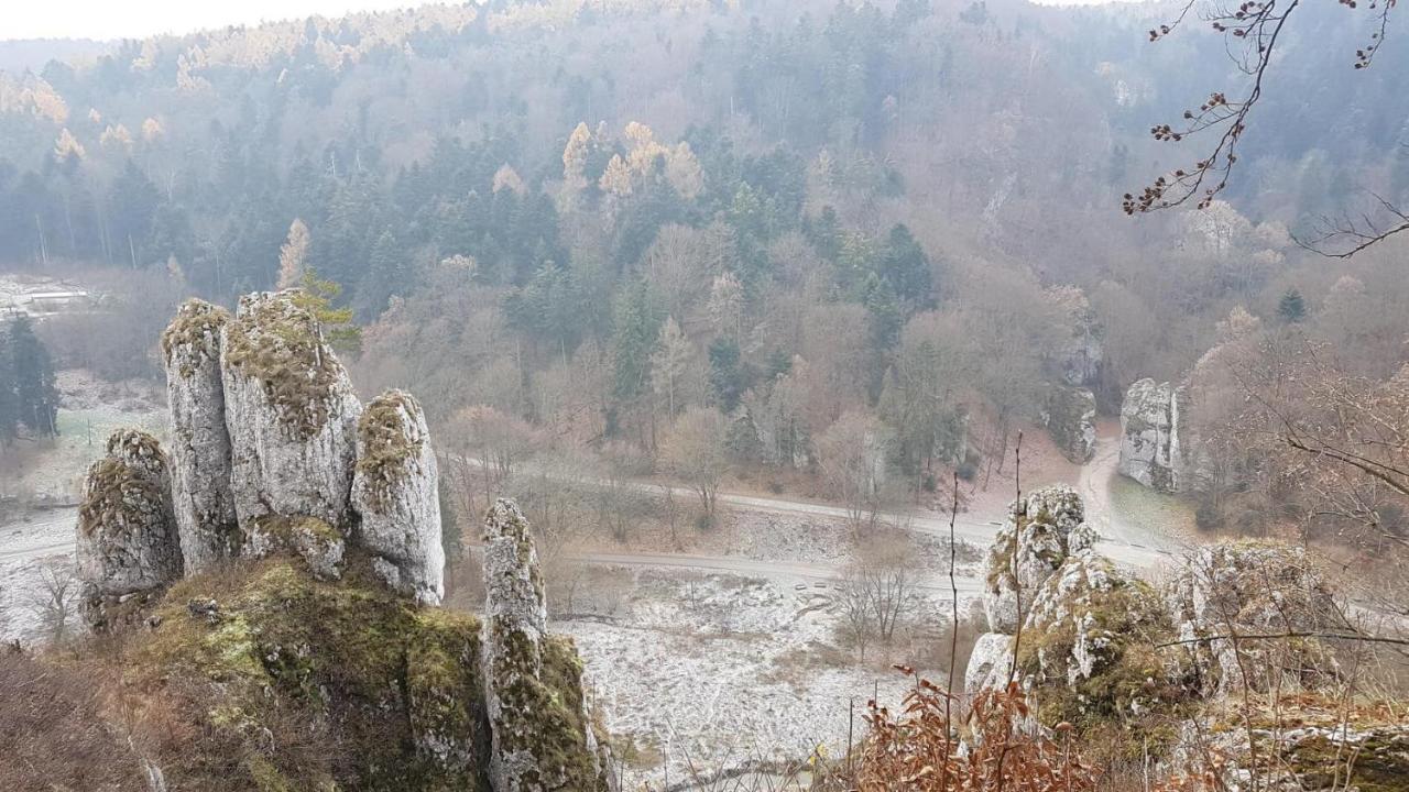 Agrogosia Hotel Czajowice Bagian luar foto