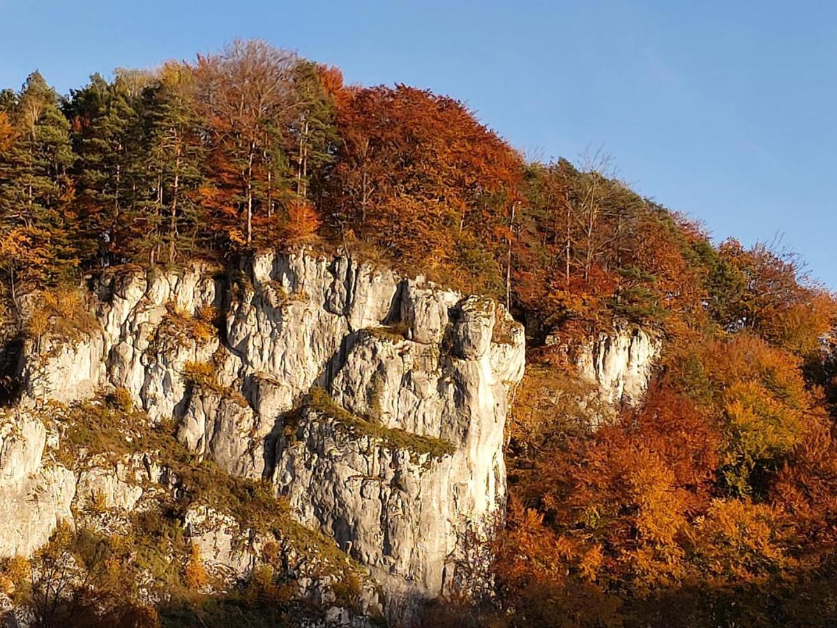 Agrogosia Hotel Czajowice Bagian luar foto