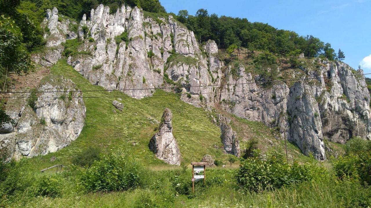 Agrogosia Hotel Czajowice Bagian luar foto