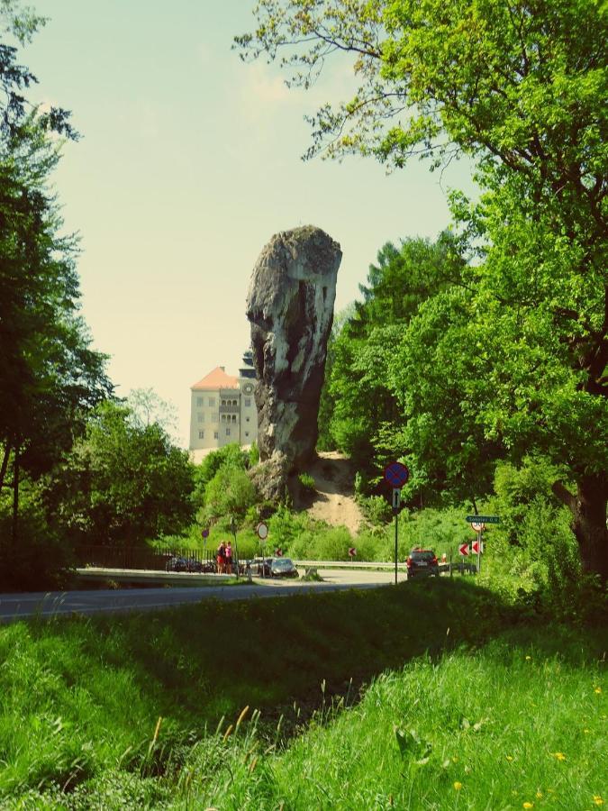 Agrogosia Hotel Czajowice Bagian luar foto